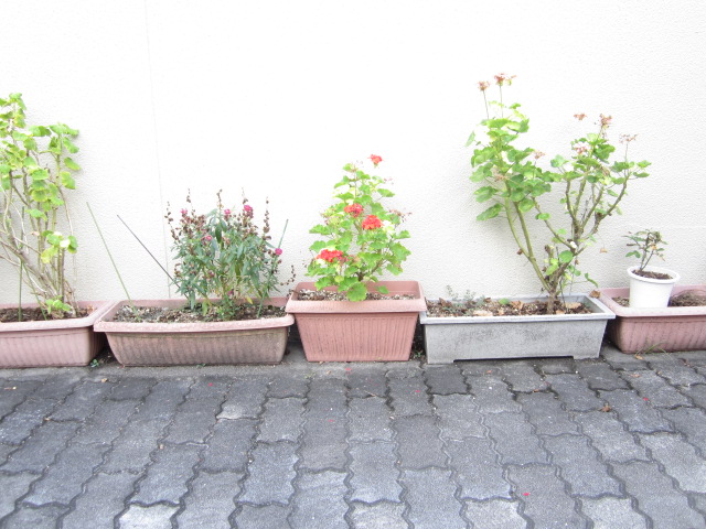 地鎮水晶玉を土地に埋められない　水晶丸玉・水晶玉　パワーストーン地鎮用水晶